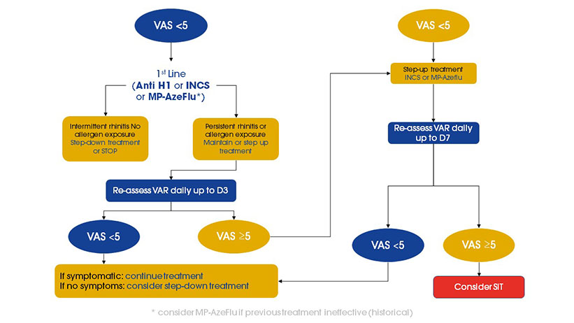 Diagram over klassificering af allergisk rhinitis